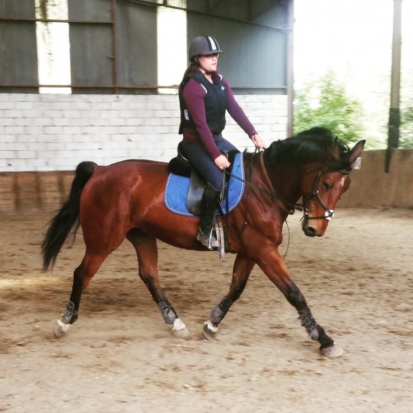 Photo de profil de maelle.grm