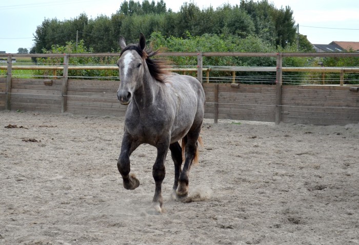 Photo de profil de maevavanl