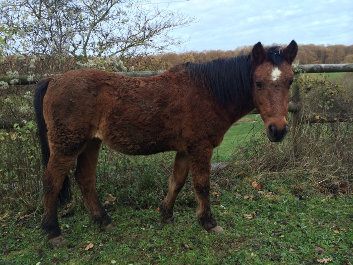 Photo de profil de maidi