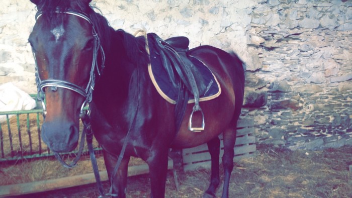 Photo de profil de maienaa