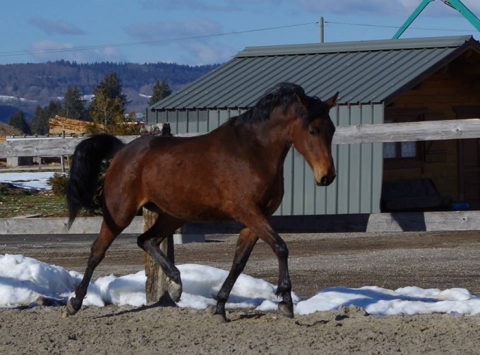 Photo de profil de majdouu