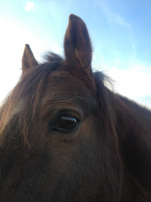 Photo de profil de makocht