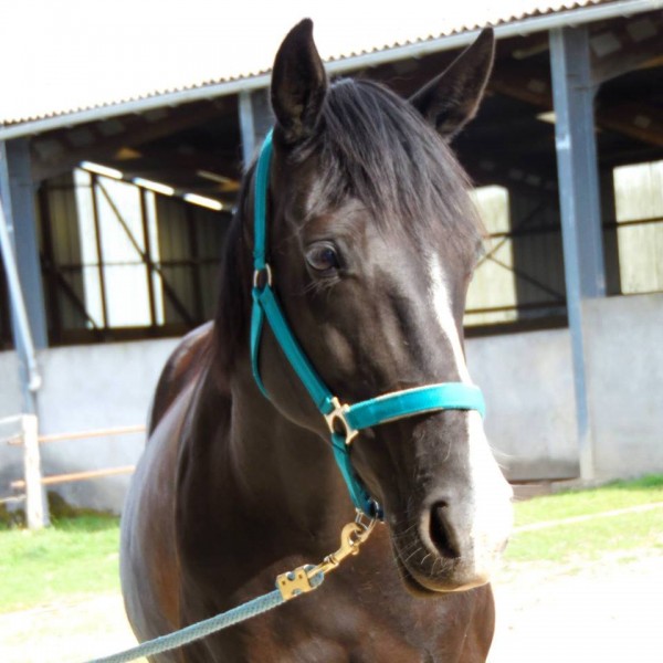 Photo de profil de maltige