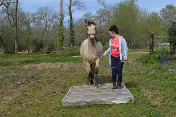 Photo de profil de mamaob