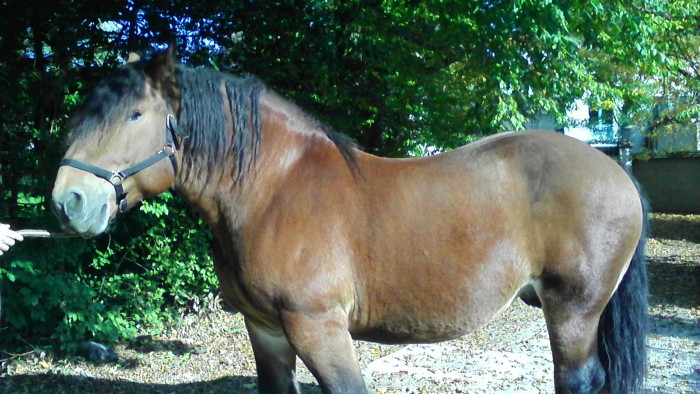 Photo de profil de mano51