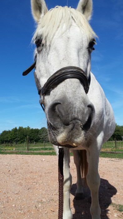 Photo de profil de manolomavie