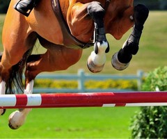 Photo de profil de manon.gdt