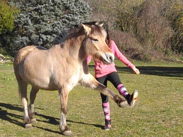 Photo de profil de manon.rgd