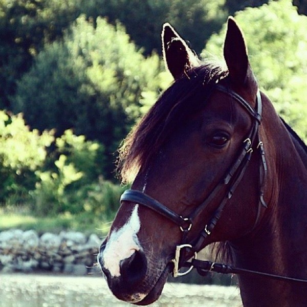 Photo de profil de manoueper