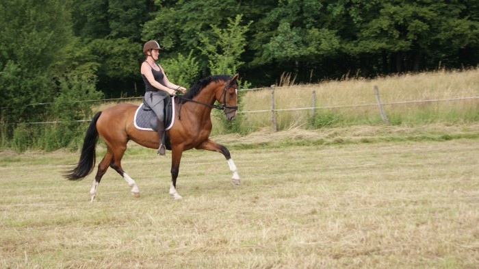 Photo de profil de mansolein