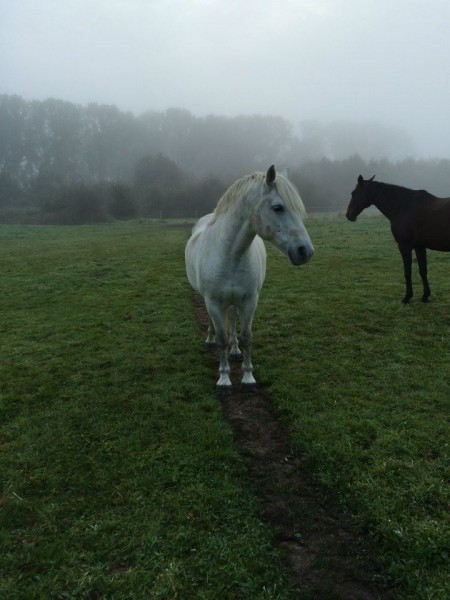 Photo de profil de manueschf