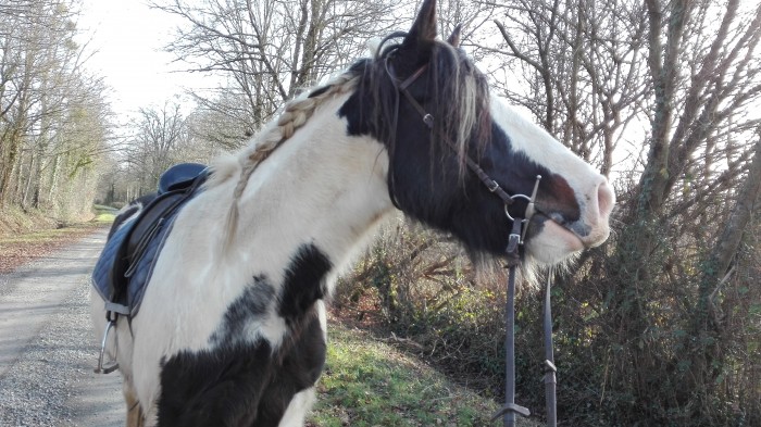 Photo de profil de margaux.freedom