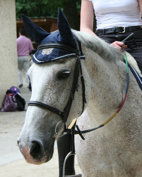 Photo de profil de margauxvdh