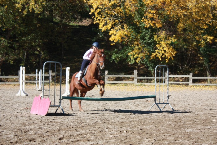 Photo de profil de margot.bordas