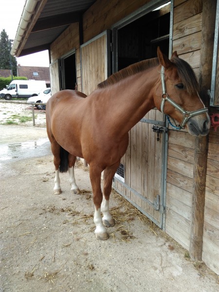 Photo de profil de marianne.cnpl