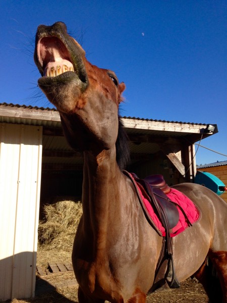 Photo de profil de mariebezault
