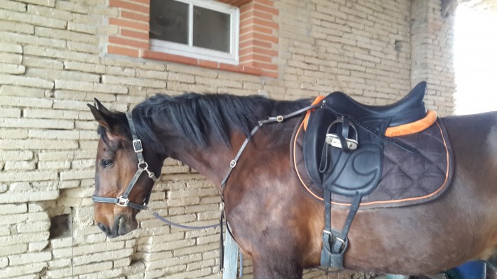 Photo de profil de marie_chouchou