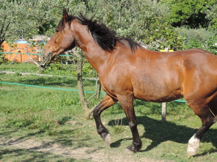 Photo de profil de mariegcdc