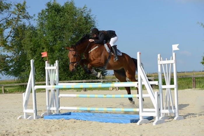 Photo de profil de marie_l