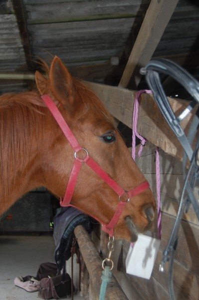 Photo de profil de mariepoons