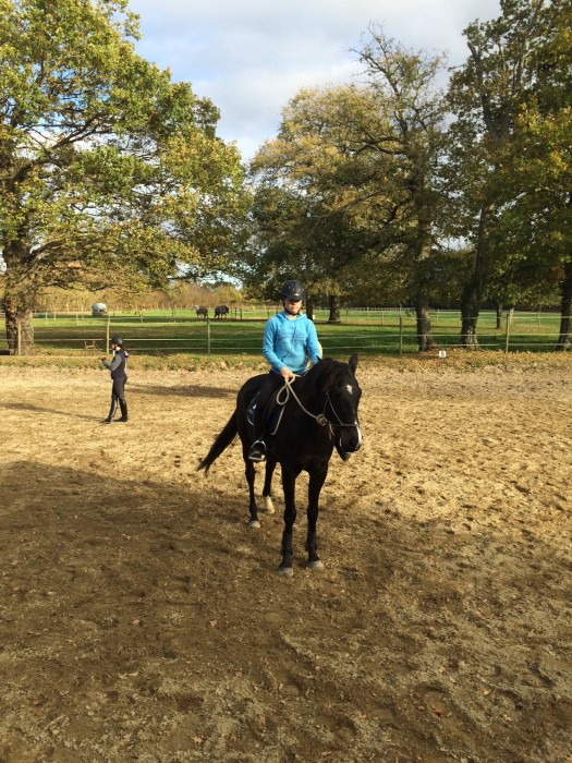 Photo de profil de marietoyhorse