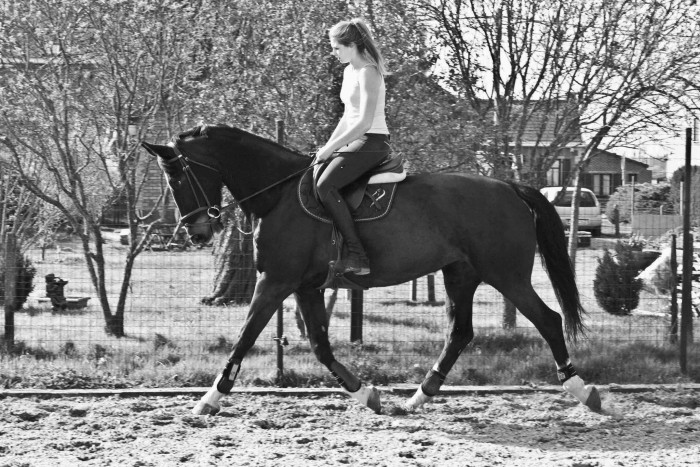 Photo de profil de marine2802