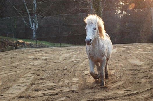 Photo de profil de marinedlm