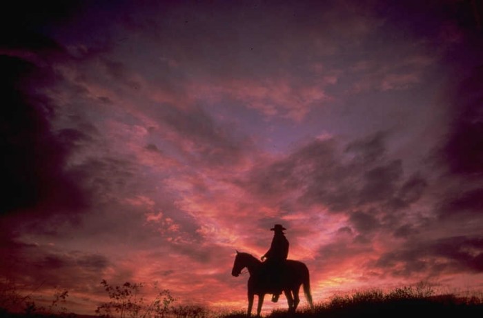 Photo de profil de marine.garin