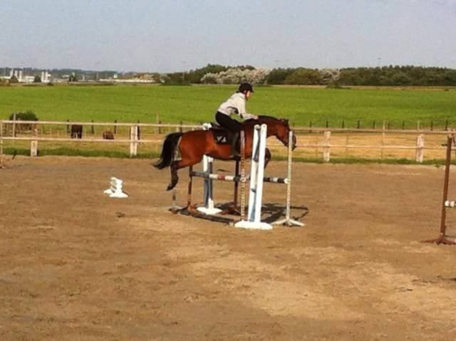 Photo de profil de marineivoire