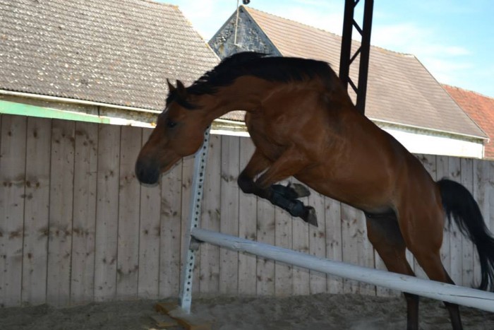 Photo de profil de marinette17