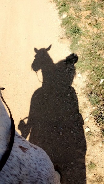 Photo de profil de marionctr