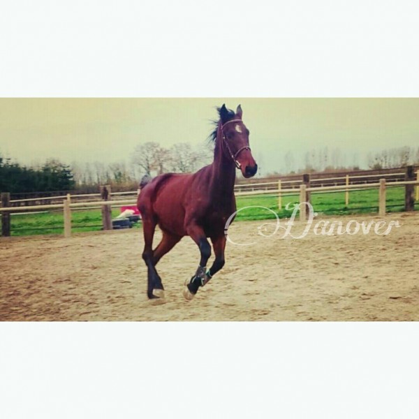 Photo de profil de marionleroy