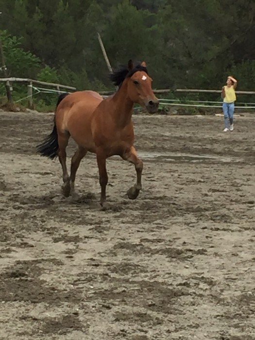 Photo de profil de marion_sonnyc