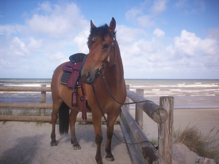 Photo de profil de martine62200