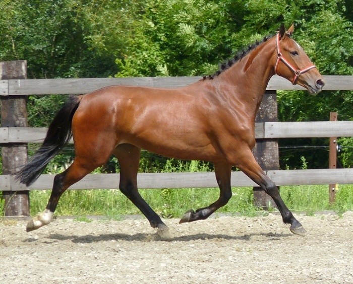 Photo de profil de martine.belmoz0