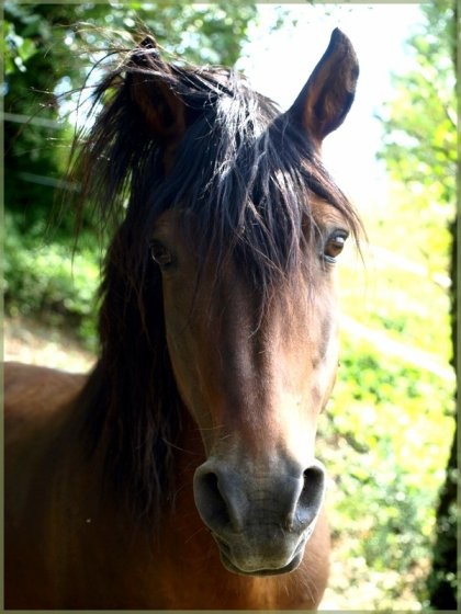 Photo de profil de maryline.b