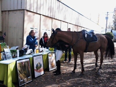 Photo de profil de marysekikine