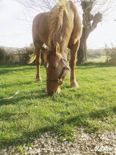 Photo de profil de mathy07