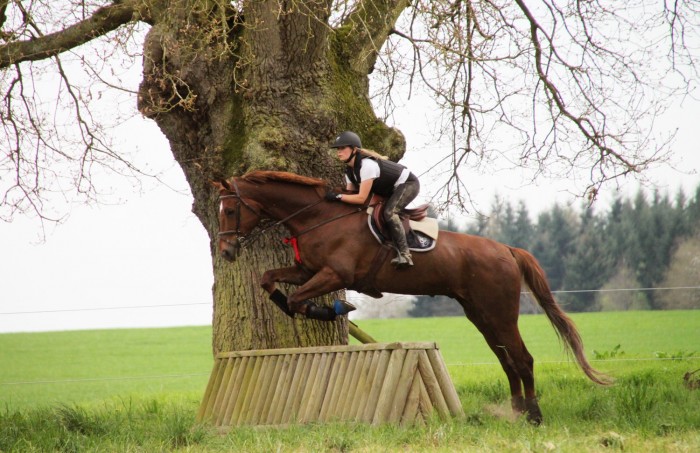 Photo de profil de maudld