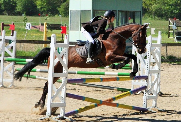 Photo de profil de mauranefgr