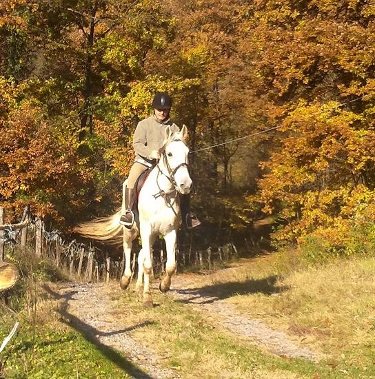 Photo de profil de mauroquietman
