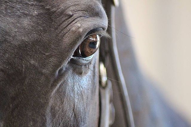 Photo de profil de max360