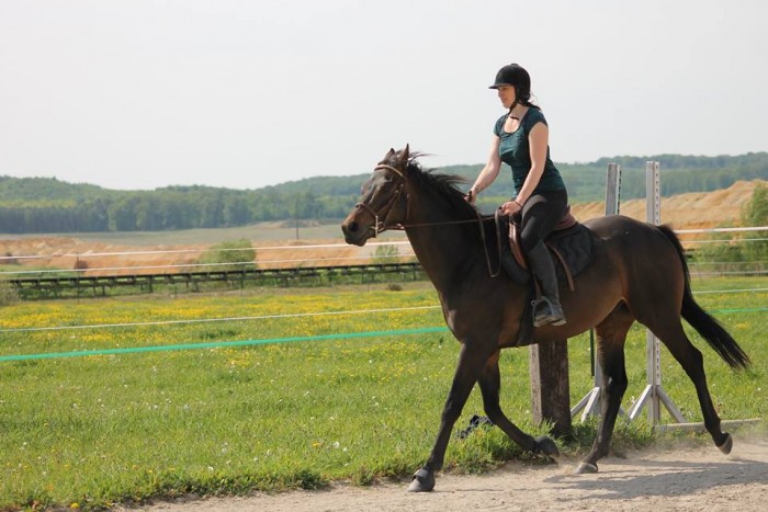 Photo de profil de mayaschenectady