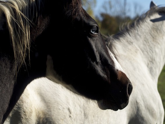 Photo de profil de mcfavre