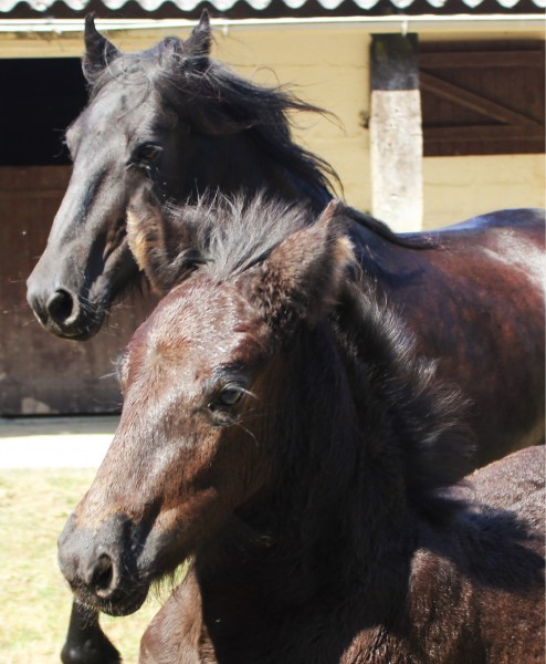 Photo de profil de mederdra85