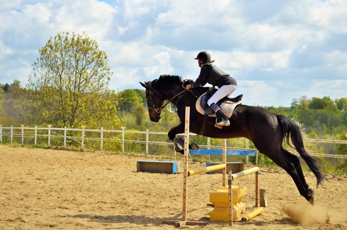 Photo de profil de megane08