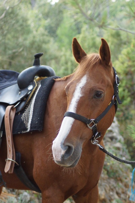 Photo de profil de meliju