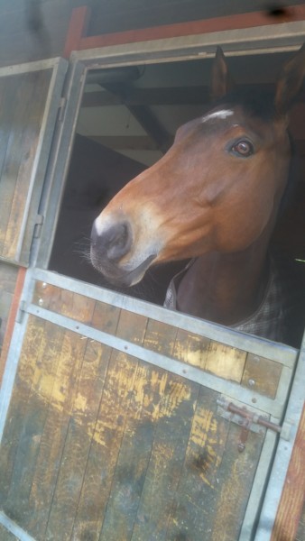 Photo de profil de meline63