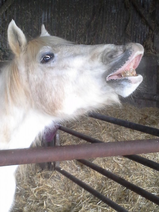 Photo de profil de melj