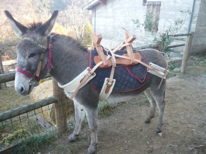 Photo de profil de mesfilles